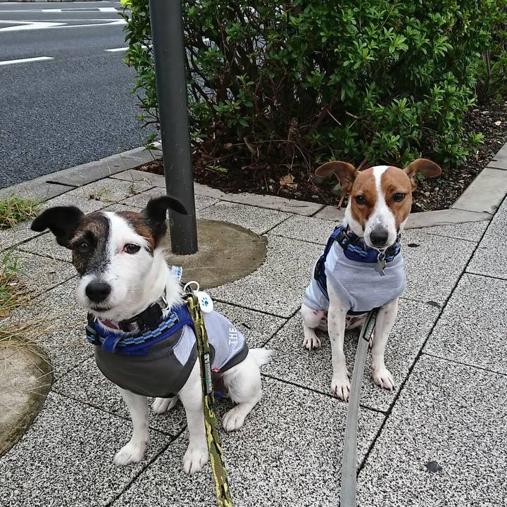 252d8556 221c 4b2c 82ce 4cf843b183e6 1539207517263