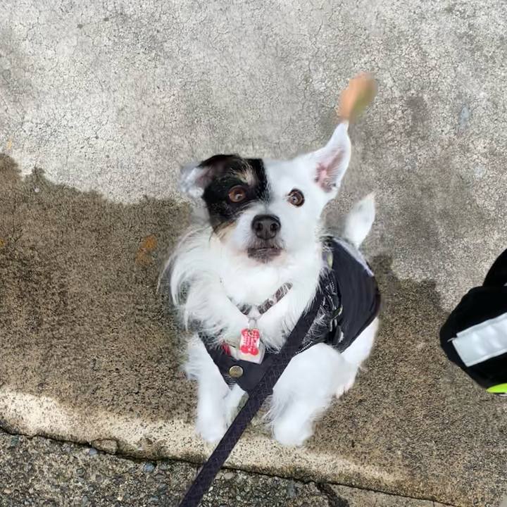 252db374 6071 4845 a9e0 065ffcb6207f 1709771050386