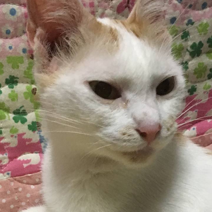 252e155e 3f42 4205 a41b 699ee25afa00 1536063087109