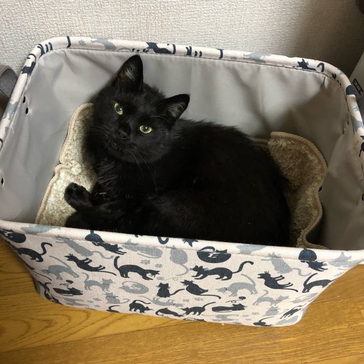 252e507a 4b36 4abe 8214 4d4e2266cee6 1594996768316