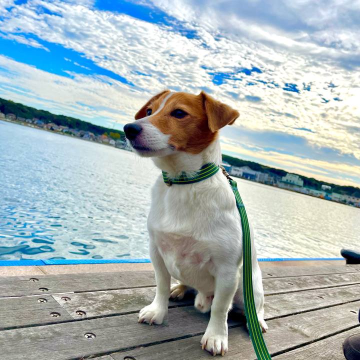 252e7185 8314 435e b62f 7f68c79ace06 1762922779125