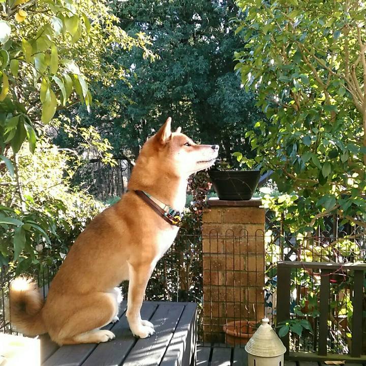 252e895d 3beb 4ad7 b61d b5e3f96b8ac8 1545124908605