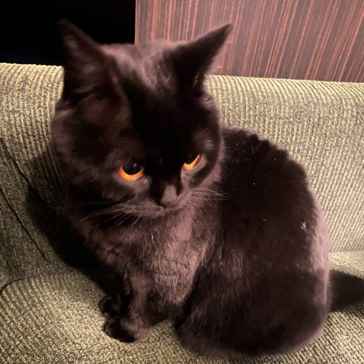 252edb8b fb36 4320 8584 4b45a6b12965 1677664878761