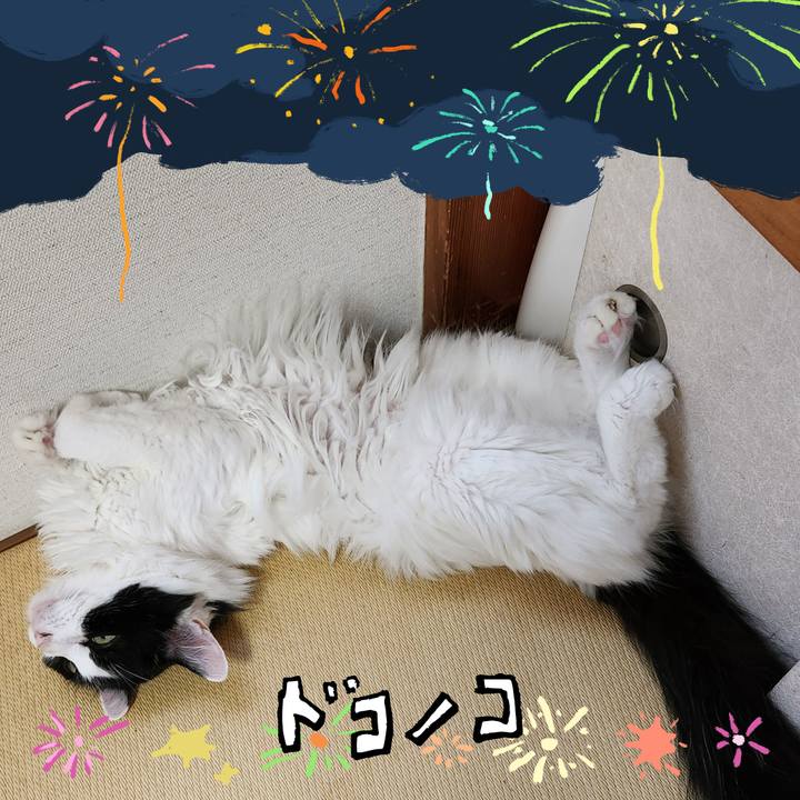 252edebc 42c5 4242 961d 2ad39eff17f2 1723282624530