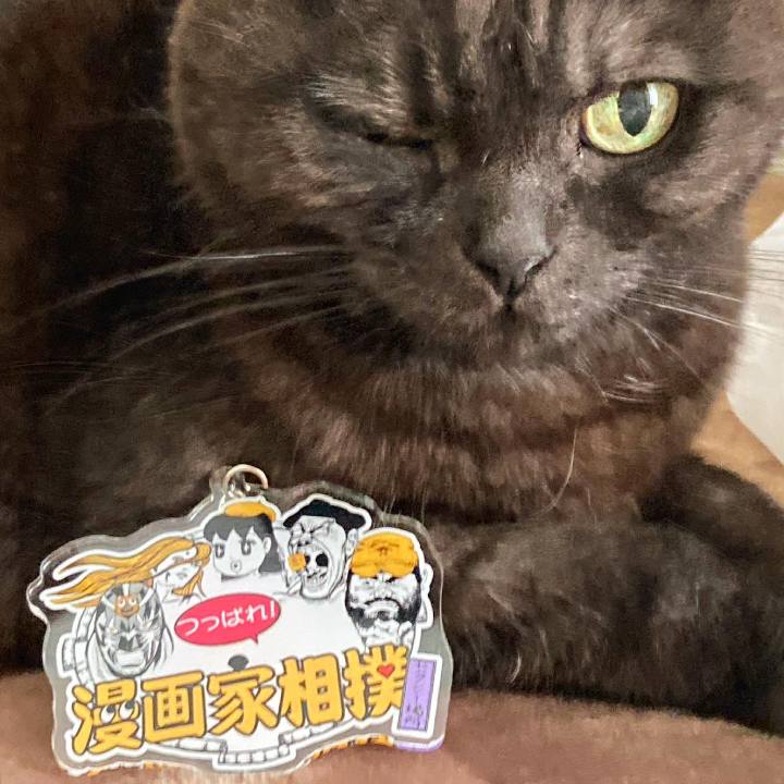 252f1d79 e468 4346 8ee7 56a79b3bcc97 1619929412153