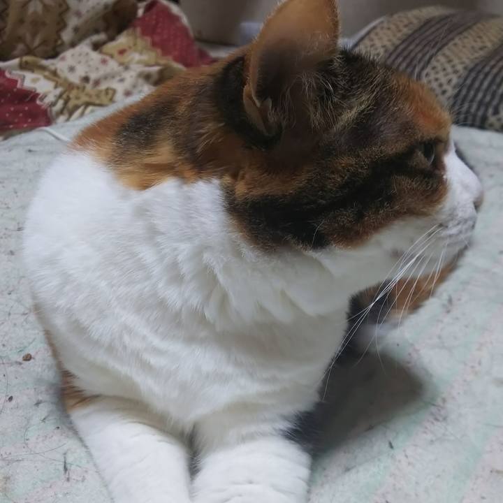 252f4968 4058 4211 a392 16092fdaf004 1565562448027