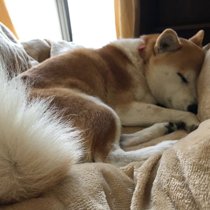 252f4bef 076e 42a8 b43f 75ac360726d7 1578284815597