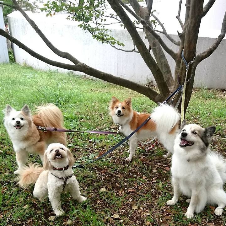 252f7cc6 b0f6 4e0b 8542 6e72ea8d2c25 1539519229818