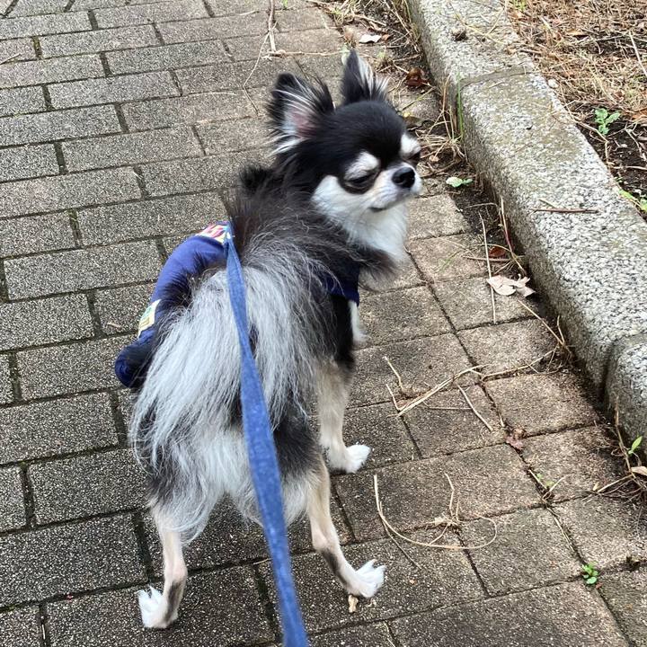 252f98b8 2e01 4f2a 9373 a8286c5bd3ba 1665323103296