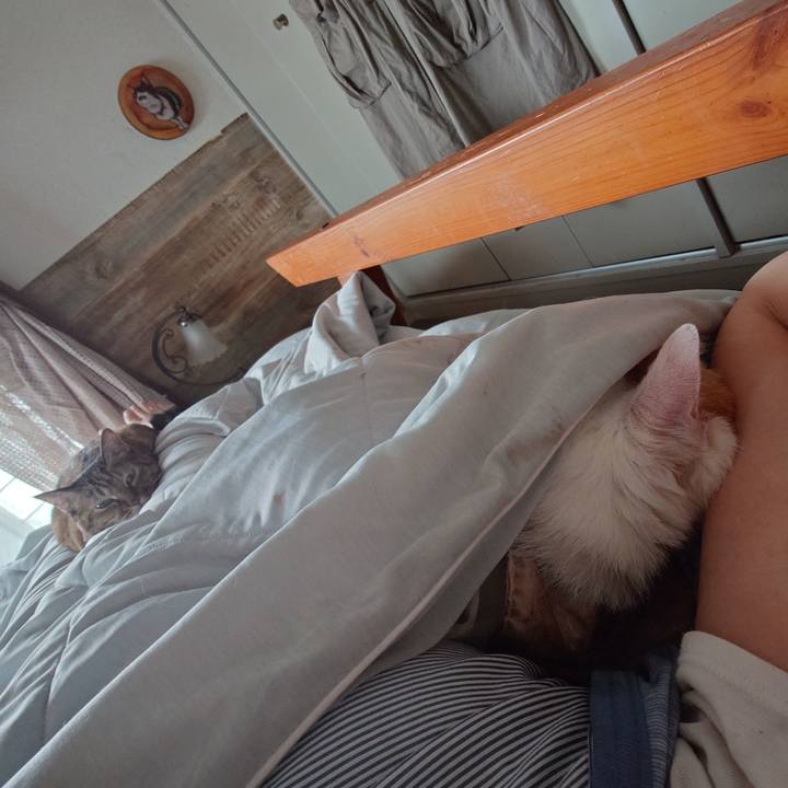 252fac2a 9b9d 4b6a 85e6 cd5a9d1dea58 1759575521038