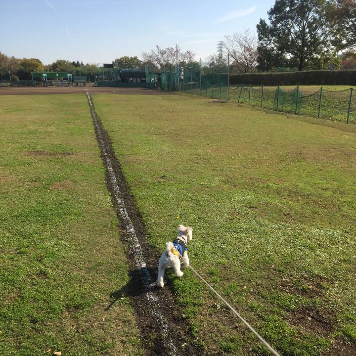 252fc0ed 2c2e 45b8 b844 8664d808986f 1510917581539