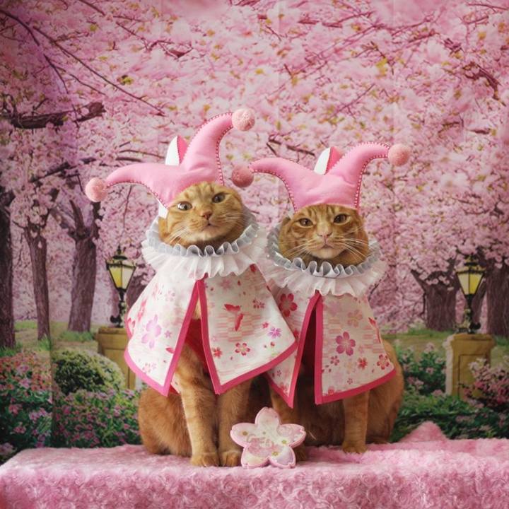 252fcb3e 0b15 4957 9069 6de8c458a195 1709446721243