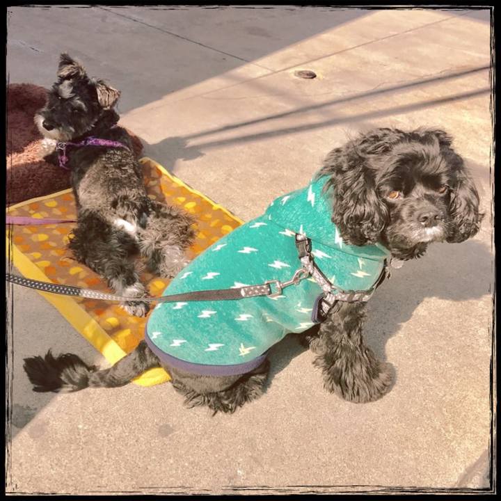 252fd161 ca23 432f 8c58 fd87f09ad76d 1521898679298