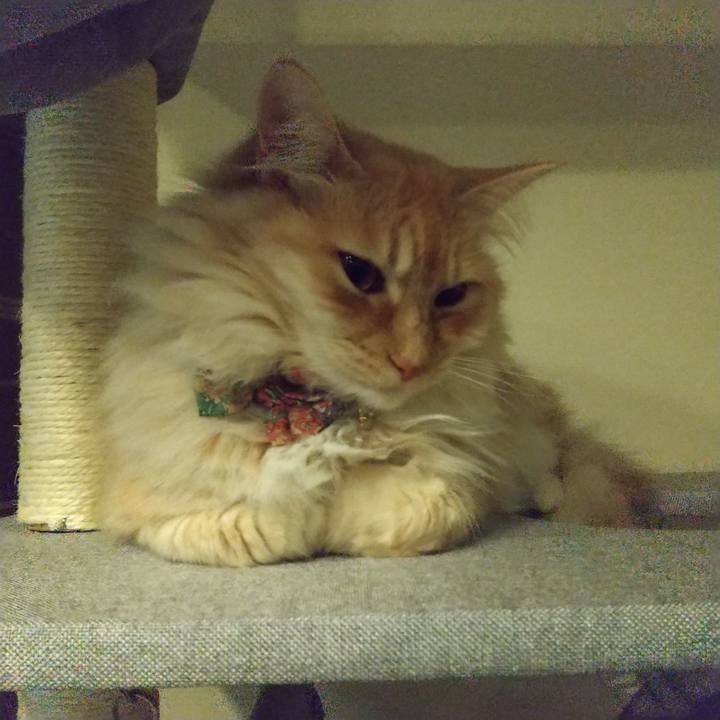 25300e5b 1c13 4952 9dfc 893bdd001c63 1647094463422