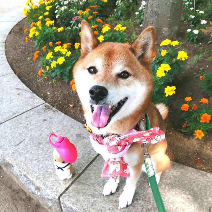 2530115a 4a02 4a86 adc6 e2d5318b12f1 1656546391754