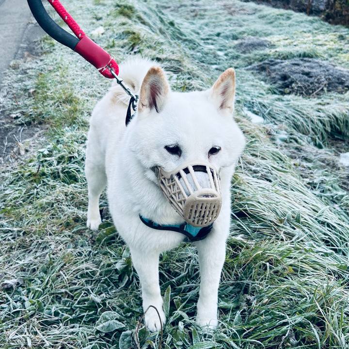 2530141f 638d 4088 9886 049dff9c9d92 1731190566579