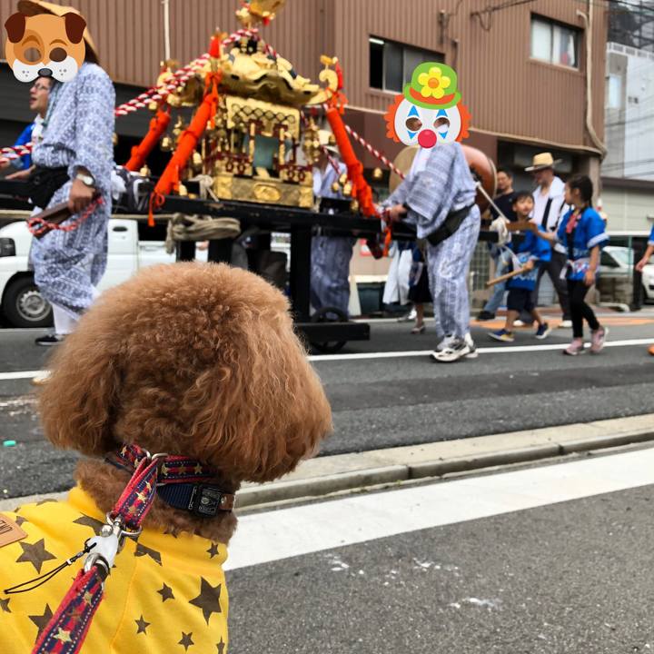 25303729 a588 424c a09b 2628541116f1 1563585214994