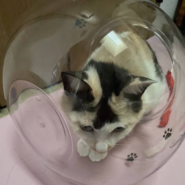 25305201 f9e1 4361 9695 961bf951bffa 1735550822565