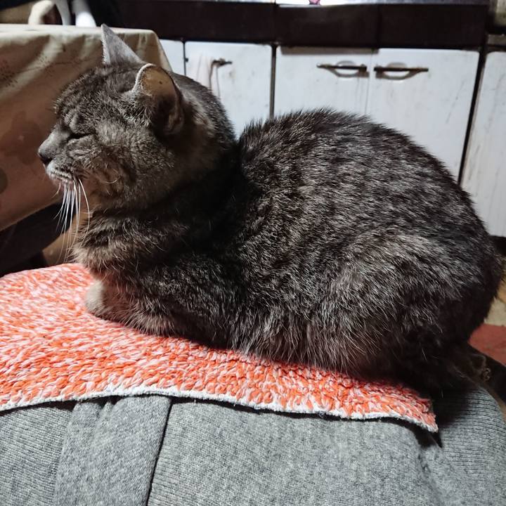 25306a73 f91e 494d bb04 8781116b8111 1582574528066