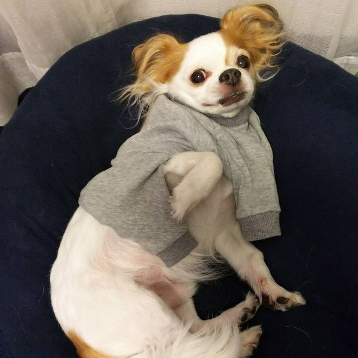 253083e0 dcb9 46a5 a221 b4d2d23e636d 1508924687369