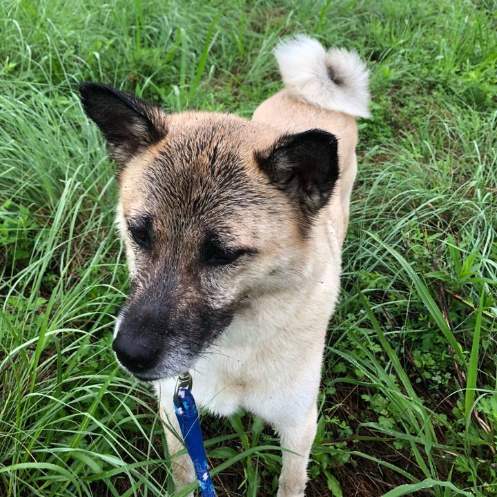 2530951a c70b 4c1d 817f ce5e3112769f 1626606027458