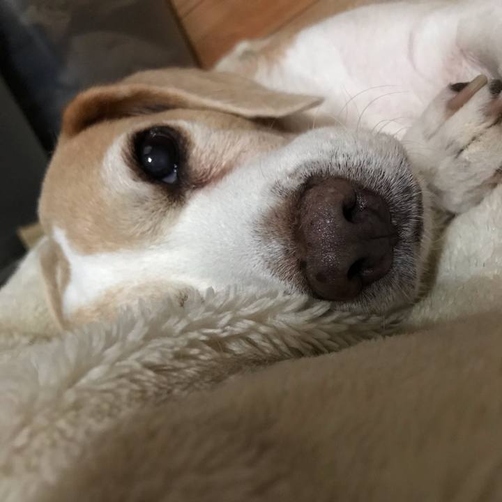 2531207b f656 4639 bcb1 2d54cf801ed6 1538434153943