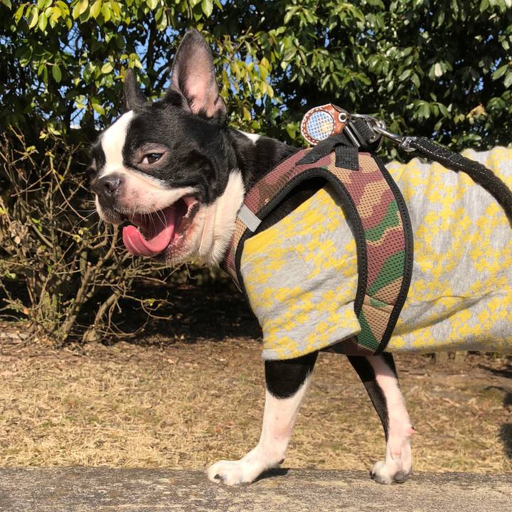 25312a4a baec 458d ad89 229a65858ccc 1521020580556