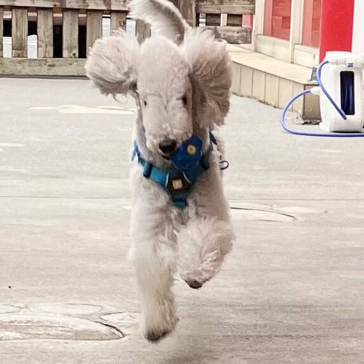 253145bc e92d 4cfa b85f daeab8a9612e 1677129232483