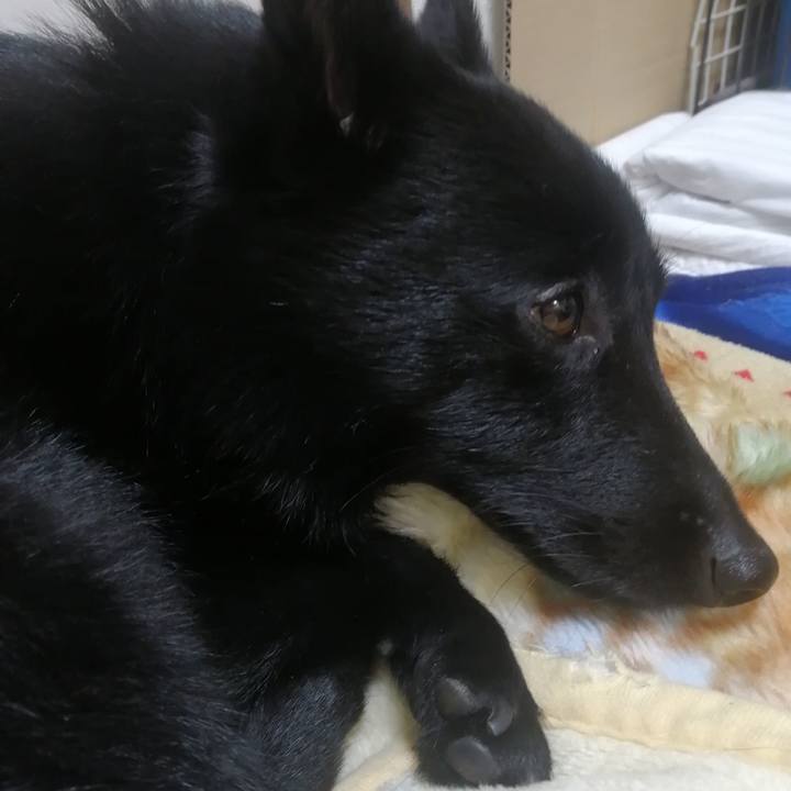 25315927 b8e4 4344 8562 53e6e4374585 1638539462578