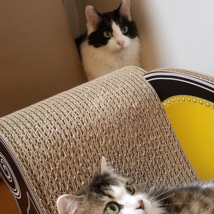 25316d0b b5de 44d4 b317 06c5f3a55ba9 1595883303303