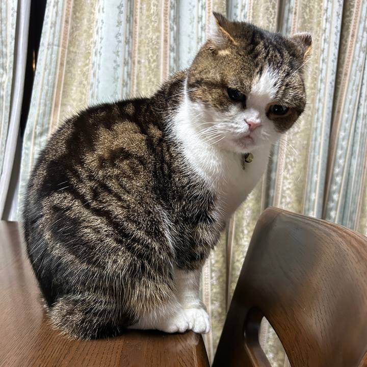 25319dde 7853 4558 b30a b00bb5df2a6d 1772054113048