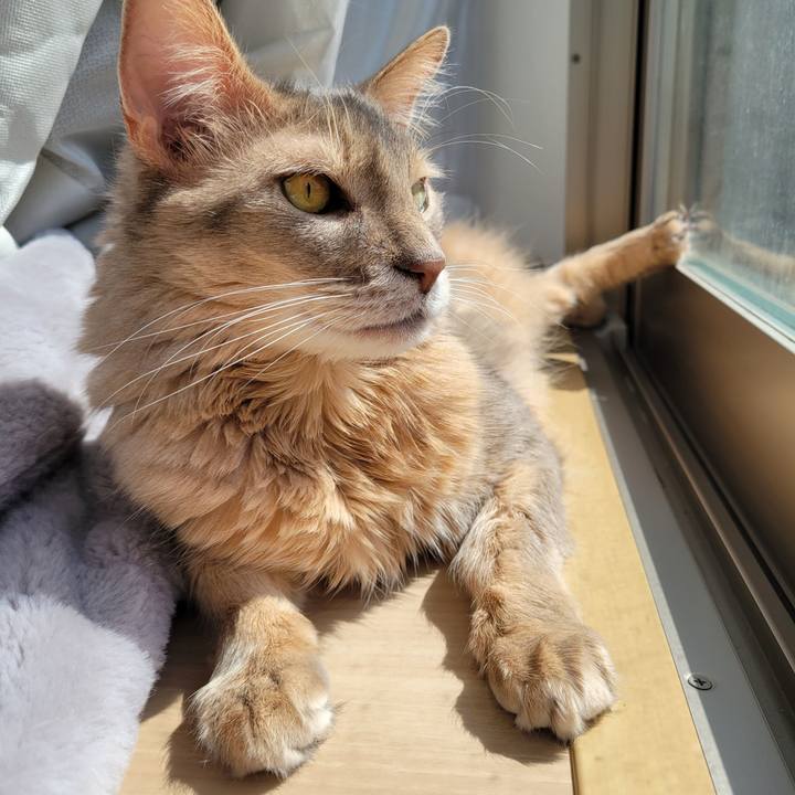 2531fd51 3c38 4c93 b4f4 4e4cc9ed7f67 1678759974721