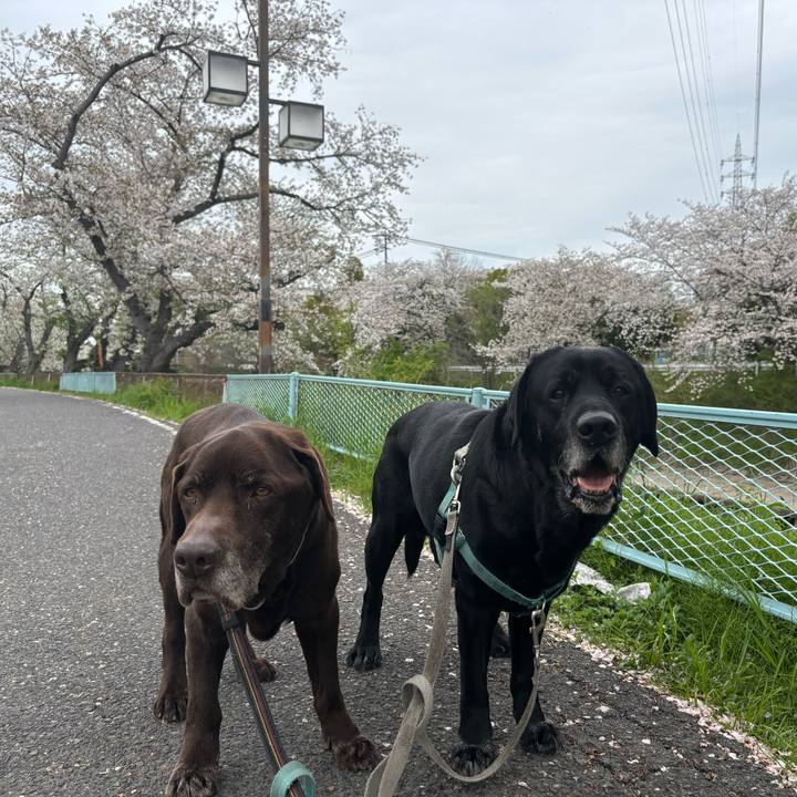 25322496 baf7 4e57 b2b5 551a64af215a 1775651283509