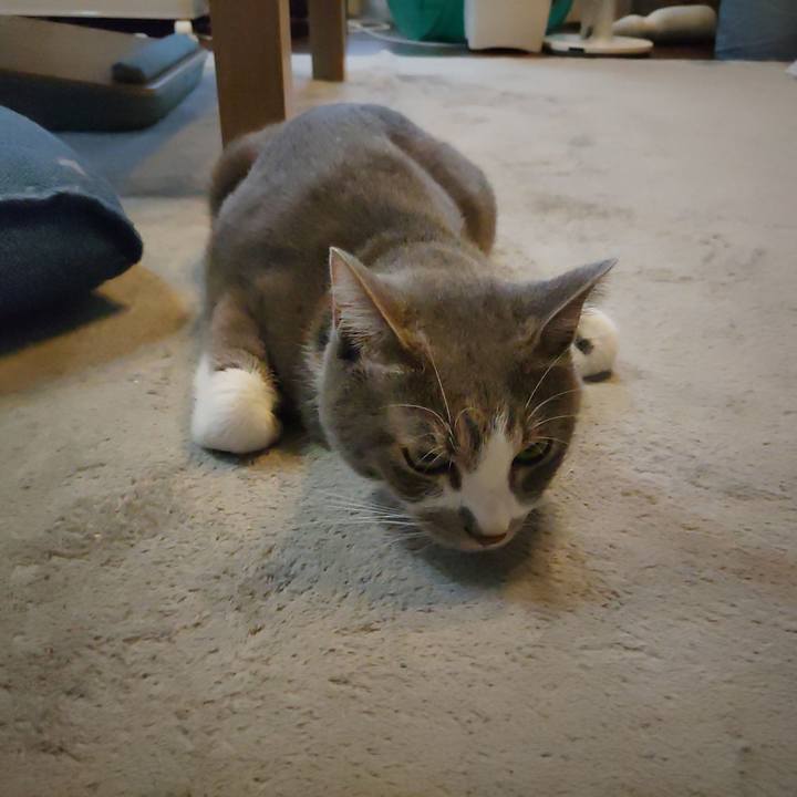 253270e5 ffca 4b25 8cf6 244364641ada 1666573371983