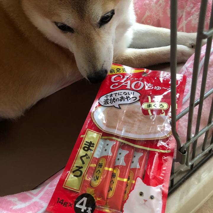 25329132 7775 45e9 9488 d545b1d11305 1601033150869