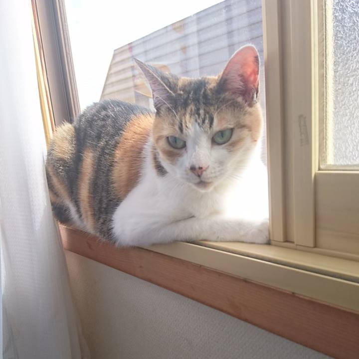 2532aac0 dbe9 40c7 9537 fda98b806a3f 1623798417442