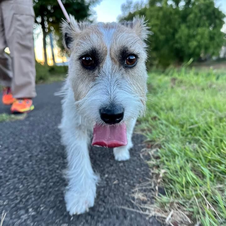 2532eb62 3146 4857 af42 3edf81311fd0 1692892807691