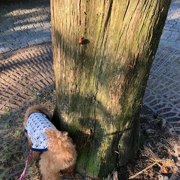 2532fa19 4ef4 44b9 a124 ec685f8cced8 1564785996535