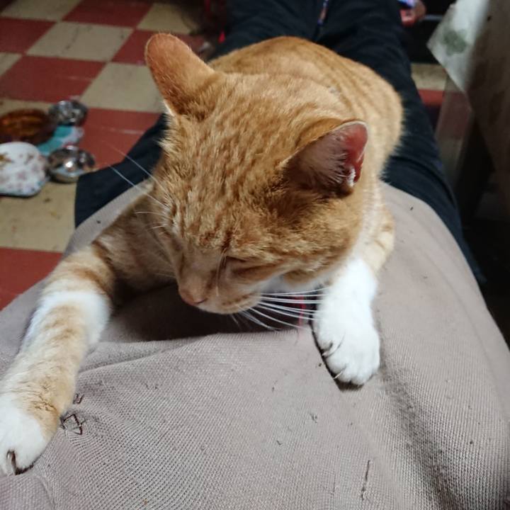 25330395 ba93 4995 b030 0a0036ee1966 1573963969742