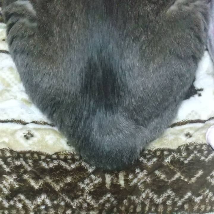 25331431 fe04 4bfe a4a5 89d97c7b137f 1645898180451