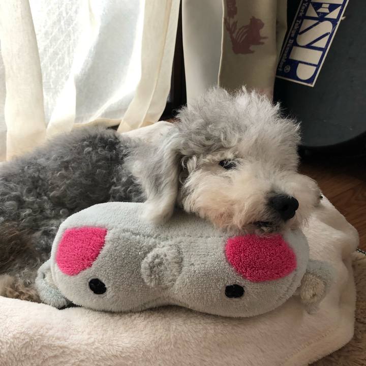 253336f6 2302 448d 8421 97a5d4ae6eb2 1658034499674