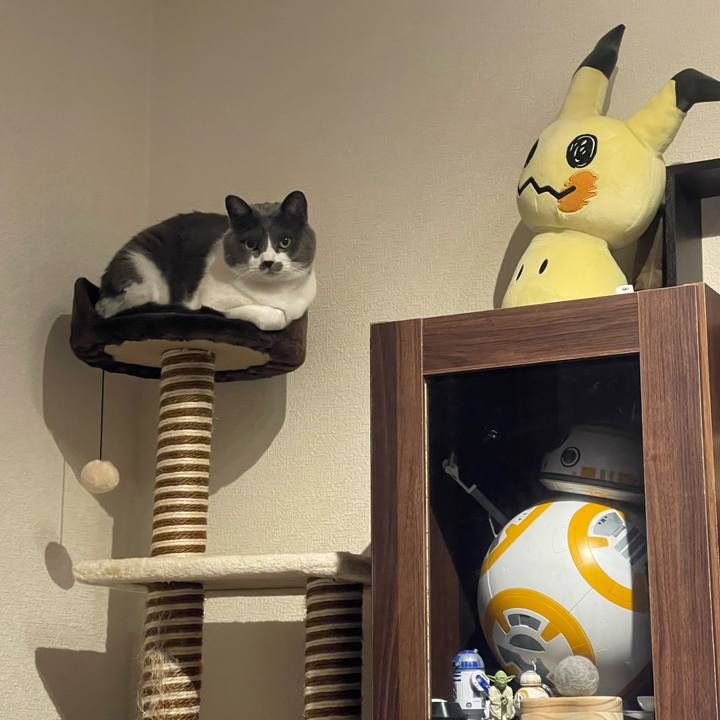 253345d9 9443 4eda 9f31 5978cb3b878c 1673350002188