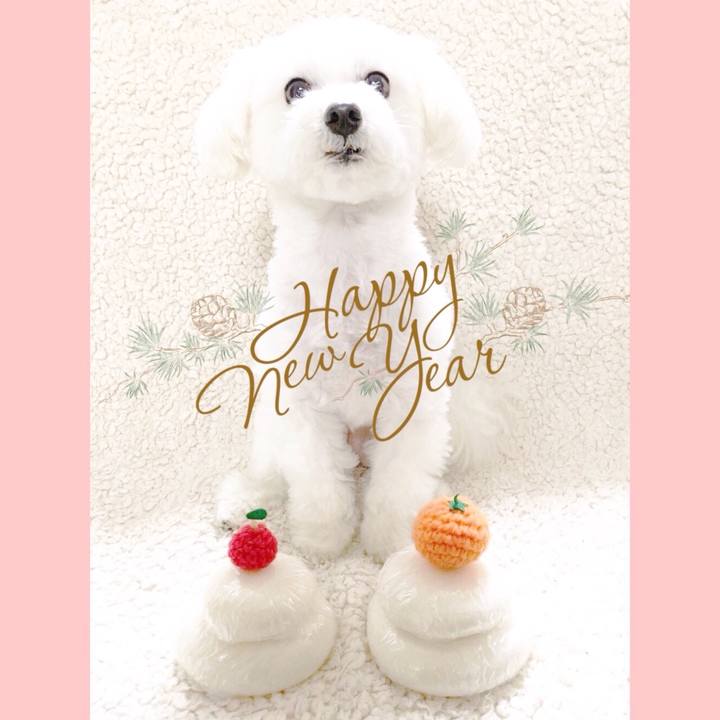 25337e9a 1eba 4a7c a226 ad7fdcc1f924 1514779351039