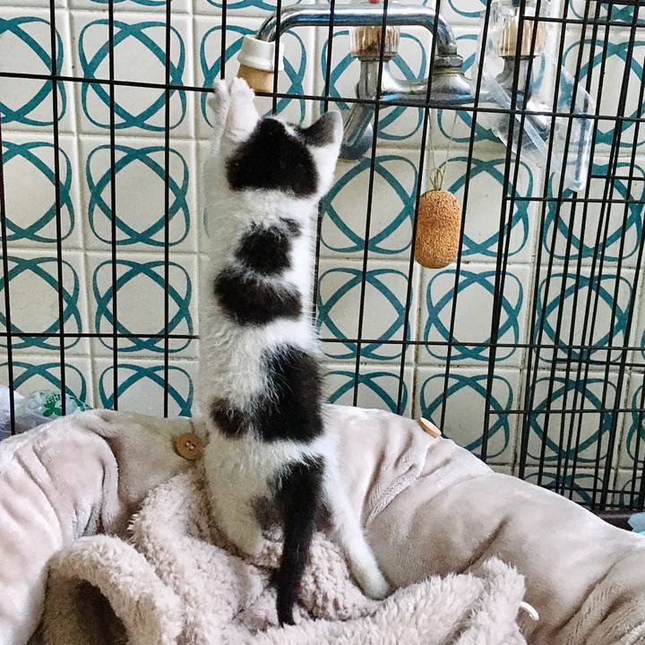 2533874d de21 4305 b69b 48336a5c4e93 1624574784056