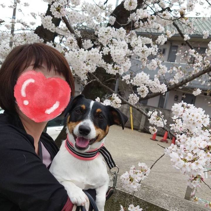 2533c2fd 3e9f 4dc3 9d22 b7581b663608 1648378107168