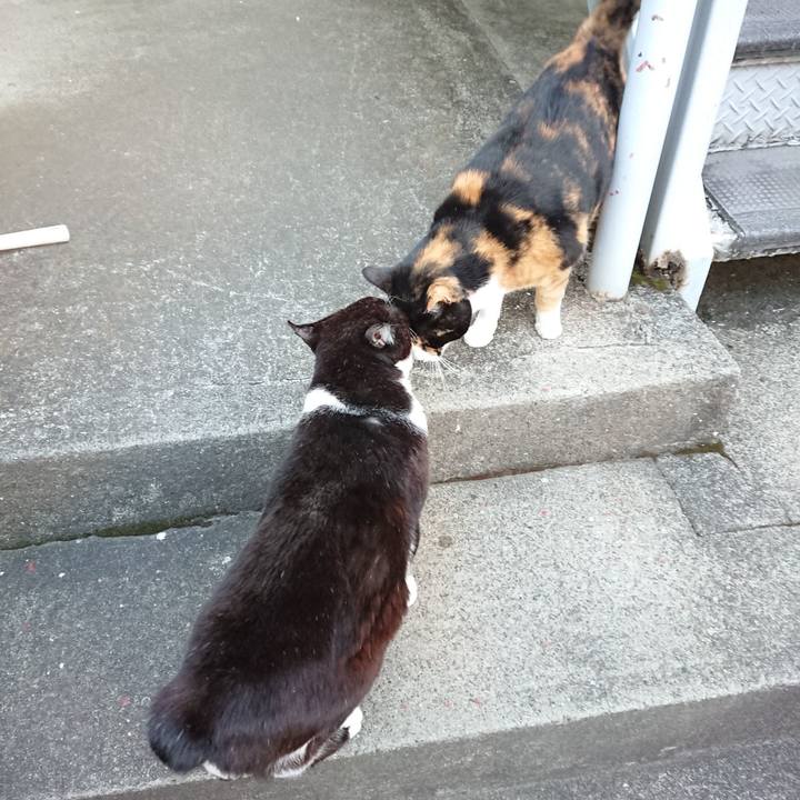 2533d73c b276 4f4f 88be aec272c0b55f 1615709272526