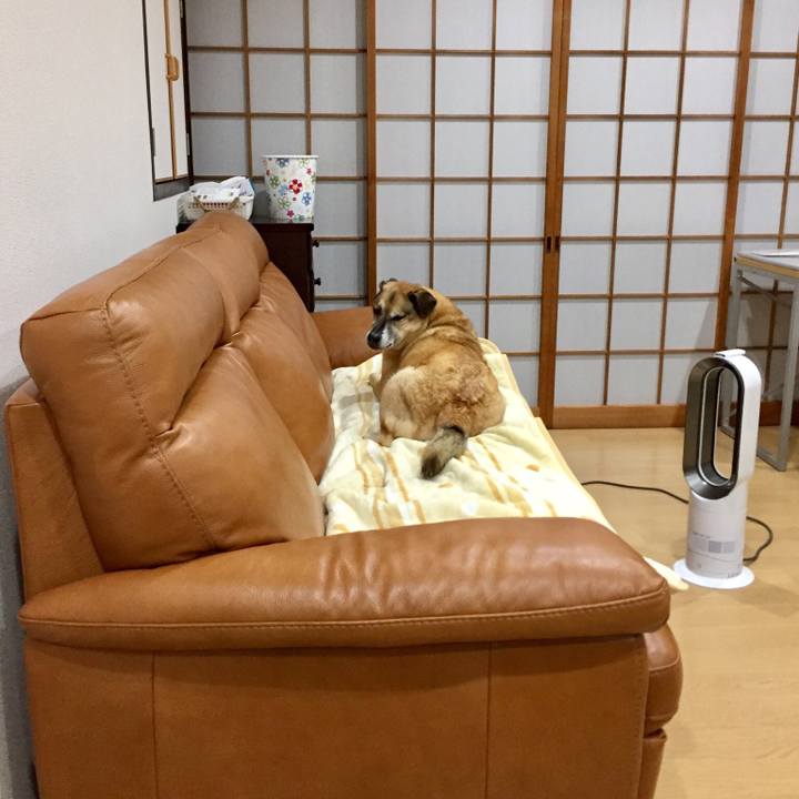 2533daa0 2baf 4720 9da3 6cf75b3820c5 1547978159682