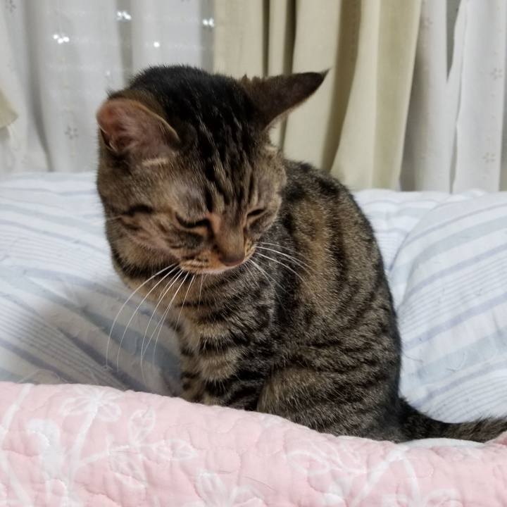 253424ac 0d99 4682 87ff 53d13c86df9d 1617572624848