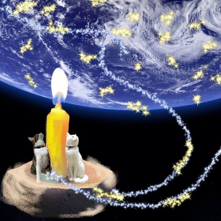 25342591 9347 48be 8086 83796318b467 1758747411156