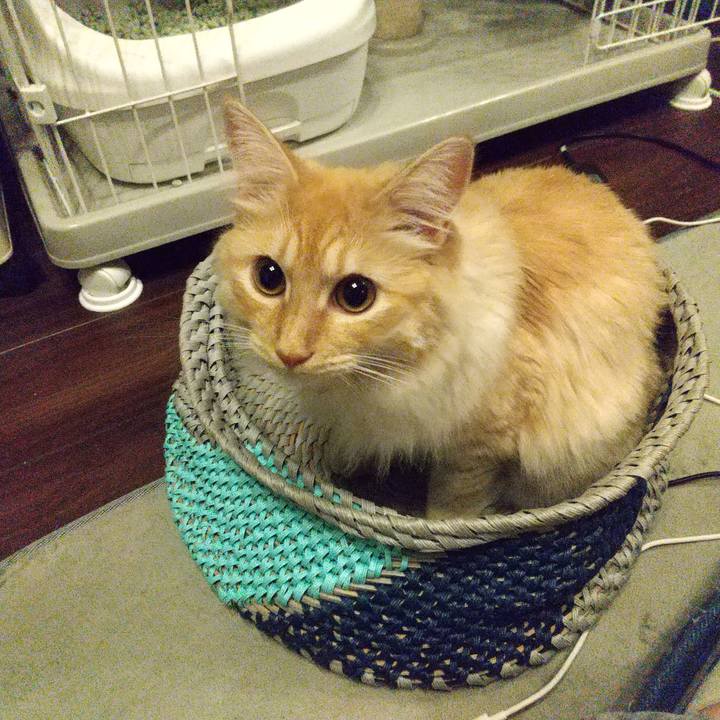 2534329e 62d4 4670 ba4b d3ed1490a147 1627561964802